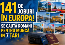 141 de joburi în Europa! Se caută români pentru muncă în 7 țări