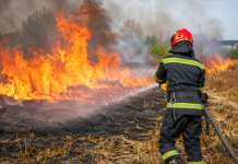 Persoana care a provocat incendiul de vegetație uscată din Gelu a fost identificată și amendată