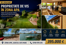 DE VÂNZARE: Proprietate de vis în Zona Apa – vilă pe malul lacului, ponton privat și barcă inclusă! Acum poate fi a ta!