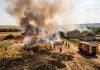 Zi de foc în Satu Mare: mai multe incendii, case și stupi salvați de pompieri în ultima clipă