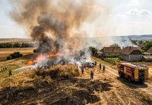 Zi de foc în Satu Mare: mai multe incendii, case și stupi salvați de pompieri în ultima clipă