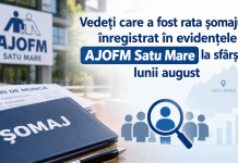 Vedeți care a fost rata şomajului înregistrat în evidenţele AJOFM Satu Mare la sfârșitul lunii august