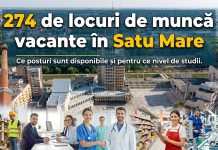 274 de locuri de muncă vacante în Satu Mare. Ce posturi sunt disponibile și pentru ce nivel de studii