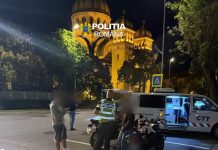 Controale Poliție și RAR în Satu Mare: amenzi de peste 18.000 de lei și 12 certificate reținute