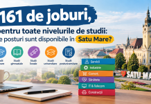 161 de joburi, pentru toate nivelurile de studii: ce posturi sunt disponibile în Satu Mare?