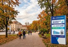 Vedeți care a fost rata şomajului înregistrat în evidenţele AJOFM Satu Mare la sfârșitul lunii septembrie