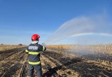 Incendiu la un lan de porumb în localitatea Oar